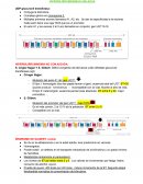 HIPERBILIRRUBINEMIAS AISLADAS