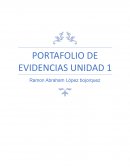 Conceptos básicos de la economia