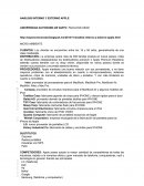 Análisis interno y externo Apple