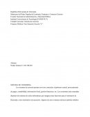 SISTEMA DE TESORERIA