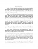 Ensayo sobre el agua