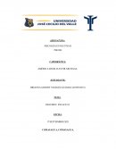 El cerebro adolescente