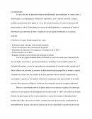 ¿Qué es un herbario?