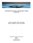 Química I: Práctica de laboratorio sobre tensión superficial