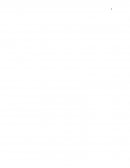 Conductas peligrosas en internet