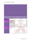 Estructuración y funcionamiento en las organizaciones: organigrama