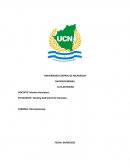 MICROECONOMIA LA ELASTICIDAD