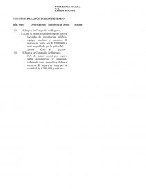 EXTRACTOS DE LOS LIBROS Y REGISTROS DE LA COMPAÑÍA ÓLEO, S.A.. Página 13