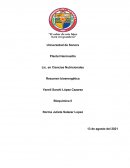 Bioenergética y el metabolismo de carbohidratos y lípidos