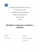 Identificar compuestos nominales y cognados