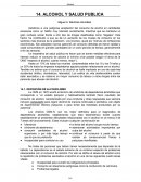 Alcohol y salud publica