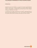 IE en supervicion de la practica profesional