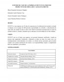 ESTUDIO DE CASO DE LA EMPRESA SCHUTZ EN EL PROCESO PRODUCTIVO DE EMPACADO Y ALMACENAMIENTO