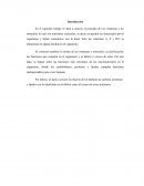 Las vitaminas y los minerales