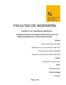 INFORME DE INVESTIGACION SOBRE ALTERNATIVAS DE USO DE LOS RESIDUOS GENERADOS EN LA PRODUCCIÓN DE AZÚCAR