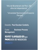 MAPEO Y ANÁLISIS DE PROCESOS DE NEGOCIOS