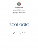 Procesamiento Ecologic Modelo de Empresa