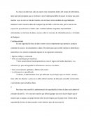 Seguridad de base de datos