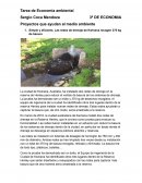 Tarea de Economía ambiental