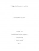 Conceptualización y contexto ambiental