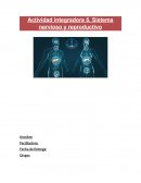 Actividad integradora Sistema nervioso y reproductivo. Sistema neuroendocrino: hipotálamo, hipófisis y su funcionamiento