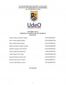 INFORME FINAL . HOSPITAL NACIONAL DE SAN MARCOS