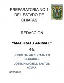 Maltrato animal