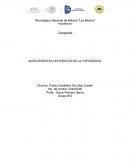 ANTECEDENTES HISTORICOS DE LA TOPOGRAFIA