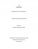 INFORME DE CONTEXTIALIZACION FUNDACION COLOMBO ALEMANA