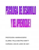 Trabajo final de psicologia del desarrollo 1