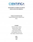 Pérdida de Biodiversidad en Madre de Dios