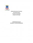 INTERVENCION ESCOLAR (GLOSARIO Y PLAN DE INTERVENCION)