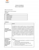 PLANTILLA DE DESARROLLO PELÍCULA “SILICON COWBOY”