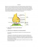 Problema Farmacodinamia