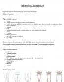 Examen fisico de postura