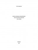 Taller test de mercado