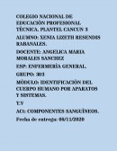 IDENTIFICACIÒN DEL CUERPO HUMANO POR APARATOS Y SISTEMAS