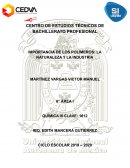 IMPORTANCIA DE LOS POLÍMEROS: LA NATURALEZA Y LA INDUSTRIA