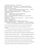 Características Ciencias Formales Ciencias Fácticas
