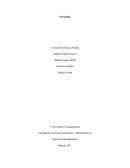 ¿Cuál es el ámbito de la sociología?