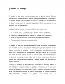 Las características clásicas más representativas de un ensayo