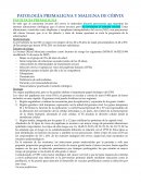 PATOLOGÍA PREMALIGNA Y MALIGNA DE CÉRVIX