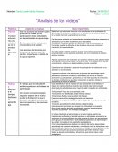 Análisis de los videos. Rúbricas