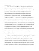 La noogénesis . El concepto moderno