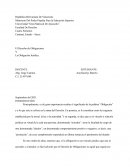 El Derecho de Obligaciones Y La Obligación Jurídica