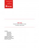 SOCIEDAD VENE CHILE LTDA