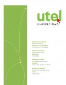 Eficiencia laboral. La Colaboración en Redes