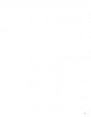 Taller Integrado de Empresas CASO DECATHLON