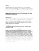 TRIBUNAL DE JUSTICIA COLOMBIANO DEL HOMICIDIO - FEMINICIDIO