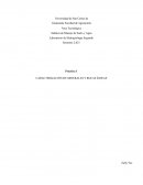 CARACTERIZACIÓN DE MINERALES Y ROCAS ÍGNEAS